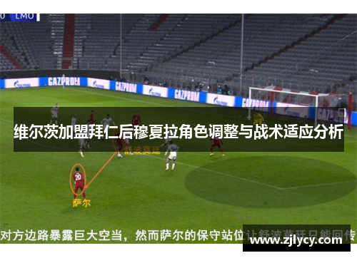 维尔茨加盟拜仁后穆夏拉角色调整与战术适应分析 维尔茨加盟拜仁后穆夏拉角色调整与战术适应分析