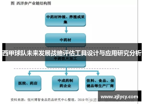 西甲球队未来发展战略评估工具设计与应用研究分析 西甲球队未来发展战略评估工具设计与应用研究分析